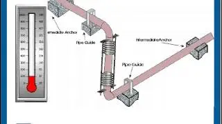 Lateral Bellows Universal Bellows