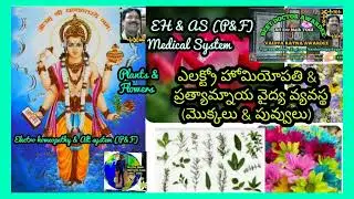 Electro homeopathy and Alternative Medical system ( Plants & Flowers) / EH & AS (P&F) Medical System