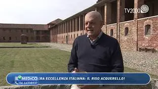 Il riso acquerello