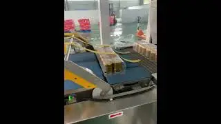 Pop-top beverage packaging machine, 30-35 PPM #packagingmachine #shrinkwrap #factory