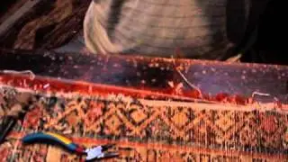 MOV06855