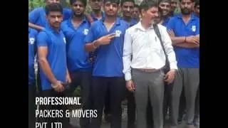 Professional Packers And Movers Pvt. Ltd. Offices Video