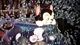 THE CATS IN THE KETTLE