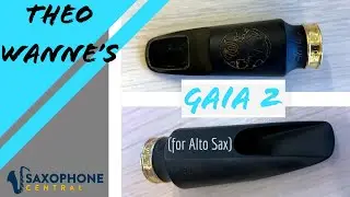 Theo Wanne Gaia 2 for Alto Saxophone