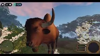 ECOS LA BREA  THE BISON