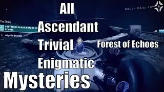 All Ascendant Mysteries, Trivial Mysteries & Enigmatic Mysteries in Forest of Echoes