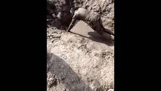Sindh Police Juwan getting punishment Under Training Army Pano Aqil Cantt