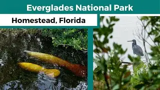 Everglades National Park Flamingo | Homestead, Florida | RV Campground | Backcountry Boat Tour