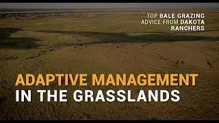 03 Adaptive Management (Carmichael)