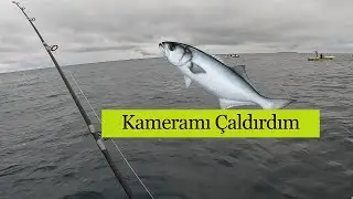 Tekneden Jig ile Lüfer Çinekop Balık Avı #fishing