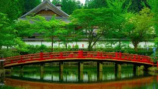 Beautiful Relaxing Music - Stress Relief Music, Positive Energy, Morning flute Music (CC0)