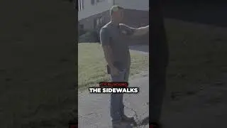 Trees VS Your Insurance