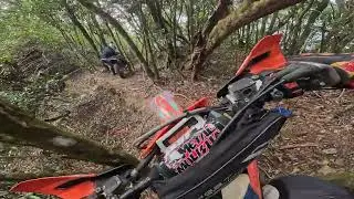 東過坑山～伐木場越野2025.12.13