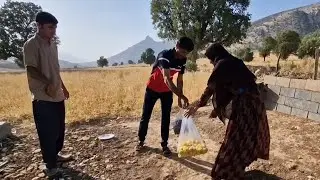 The Hard Life of a Nomadic Mother with a Disabled ChildUnrelenting Effort in the Heart the Mountains