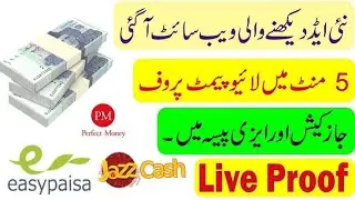 All Withdraw Payment Proof From Akearning Website..In 3 Days My Earnings 2950 Rupees.