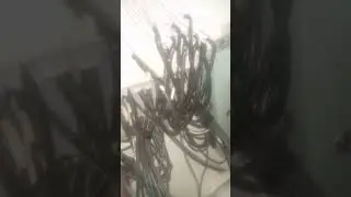 Connecting BNC and power connectors on DVR and central power for CCTV camera installation