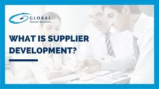 What is Supplier Development?