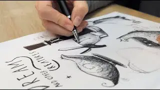 Dreams & Night Creatures - teaser