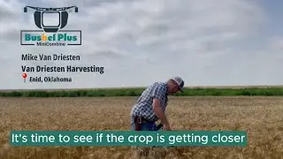 Van Driesten Harvesting using the Bushel Plus MiniCombine&trade; in his wheat and cereal crops