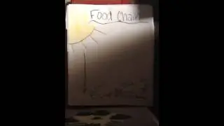 J D N Super Animal Presentation
