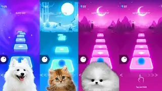 Tiles hop EDM Rush   White dog vs Cute cat vs Fluffy dog on Ball Games channel
