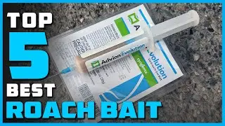 Top 5 Best Roach Baits in 2023 | Review and Buying Guide