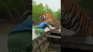ON CAMERA! 🐅 Savage Tiger Attack on Fishing Unbelievable Wild Encounter #wildlife #tiger #fishing