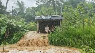 Black Sky ⛈️ Heavy Rain Naturally in My Quiet Village, No People
