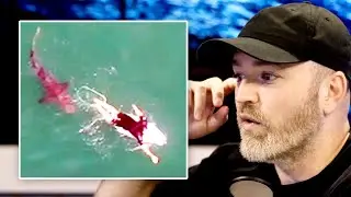 Shark vs Surfer Close Call Caught on Camera...