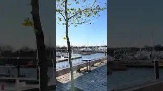Stunning View - The Wharf on Southwest Waterfront in Washington DC #wharf #dc #washingtondc #views