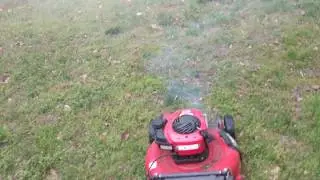 White Smoke from Lawn Mower then DIES!