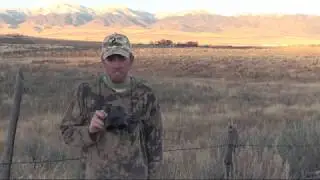 Black Diamond Optics Binoculars Review - Coyote Assassins Episode 20
