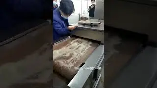 Demonstration video of microwave drying instant natural rice trial machine