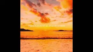 SHOW ME LOVE  #music #tyla #song #love #lyrics #viral