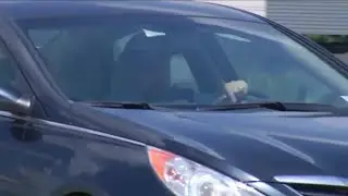 Texting and driving law
