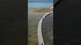The Island That Disappears: Jindo&rsquo;s Moses Miracle!