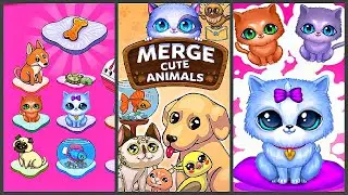 Merge Cute Animals: Cat & Dog Gameplay