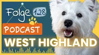 West Highland White Terrier - vom wei&szlig;en Jagdhund zur Werbeikone I #128