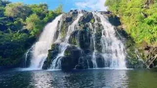 4K Waterfall Sounds for Deep Focus & Study - New Zealand Nature Noise