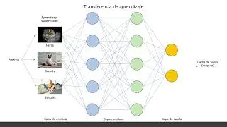 Transferencia de aprendizaje en Deep learning | Transfer Learning en MATLAB