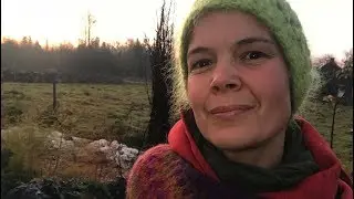 День 4: Как подготовить грядки к зиме