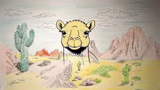 Un dromadaire dans le desert