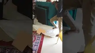 I bought such an expensive sofa cum bed from Wakefit 💀 #shorts #wakefit #unboxing