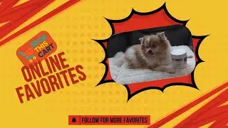 Dog Allergy Chews 🐾 Itch & Paw Licking Relief | Immune + Skin Support