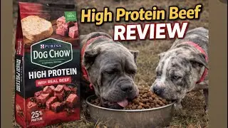 Dow Chow High Protein Beef Review 