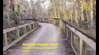 Graham Swamp Trail, Северная Флорида. Часть 1