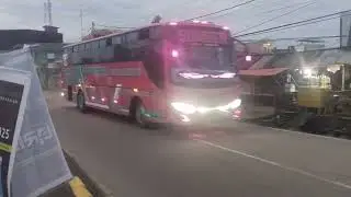 Bus sumber sejahtera the pink sidrap-palu #bussid #busteloletbasuri  