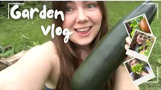 Autumn Garden Harvest: The one with the second Giant Zucchini and Pasta