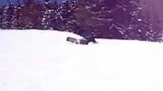 Friendski