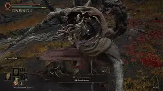 ELDEN RING Margit Fight 2